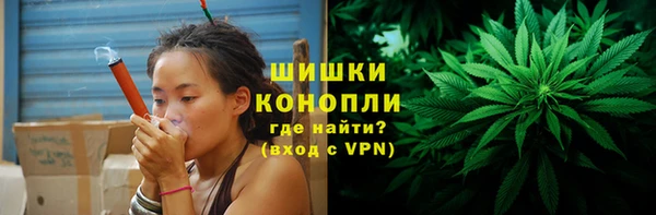 ГАЛЛЮЦИНОГЕННЫЕ ГРИБЫ Волосово