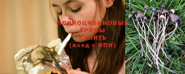 ГАЛЛЮЦИНОГЕННЫЕ ГРИБЫ Волосово
