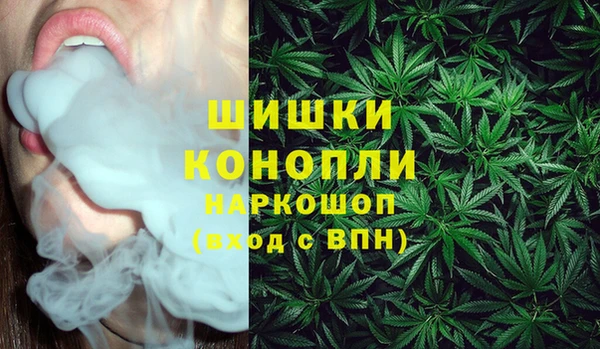 ГАЛЛЮЦИНОГЕННЫЕ ГРИБЫ Волосово