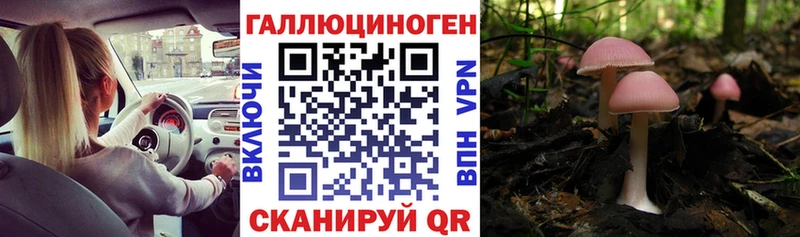 даркнет сайт  Елец  shop наркотические препараты  Псилоцибиновые грибы MAGIC MUSHROOMS 