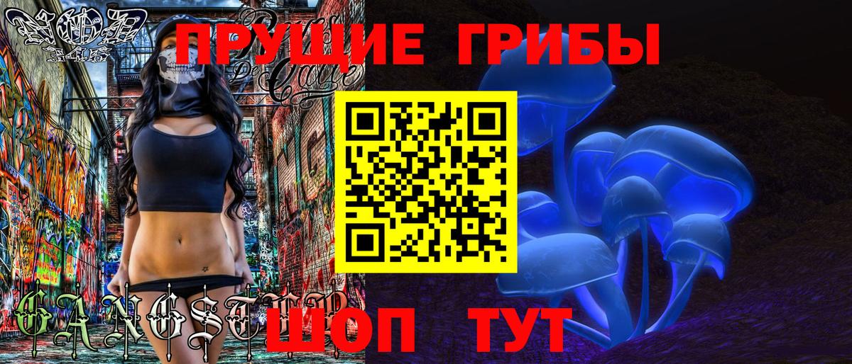 Галлюциногенные грибы Cubensis  Вход с VPN  Псилоцибиновые грибы мухоморы  Елец 